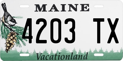 ME license plate 4203TX