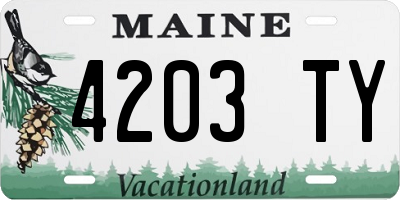 ME license plate 4203TY