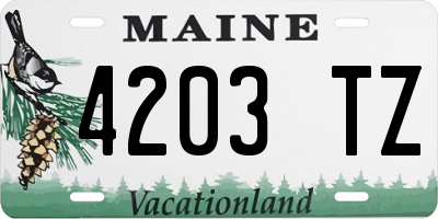 ME license plate 4203TZ