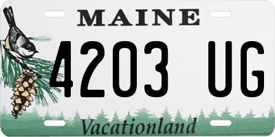 ME license plate 4203UG
