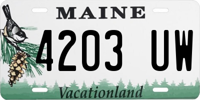 ME license plate 4203UW