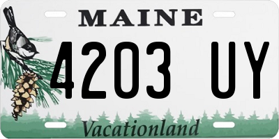 ME license plate 4203UY