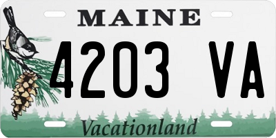 ME license plate 4203VA