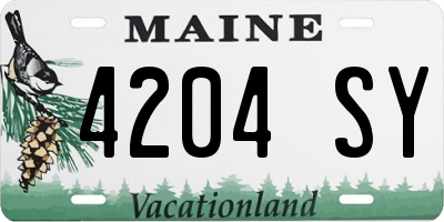 ME license plate 4204SY