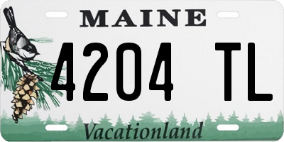 ME license plate 4204TL