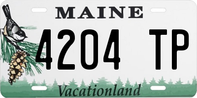 ME license plate 4204TP