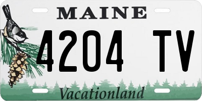 ME license plate 4204TV
