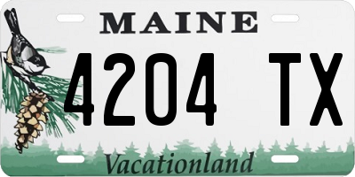 ME license plate 4204TX