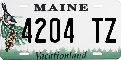 ME license plate 4204TZ