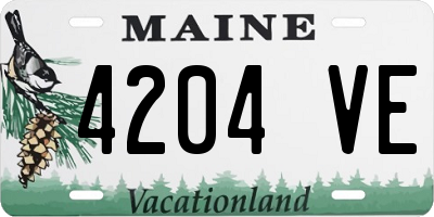 ME license plate 4204VE