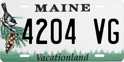 ME license plate 4204VG