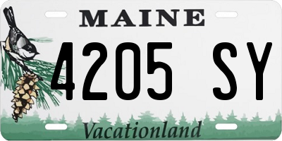 ME license plate 4205SY