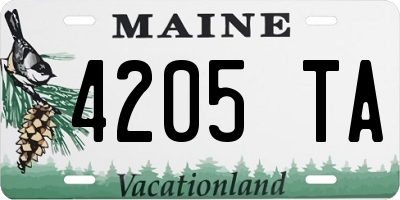 ME license plate 4205TA