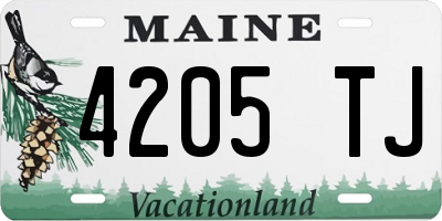 ME license plate 4205TJ