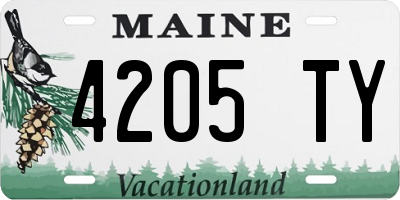 ME license plate 4205TY