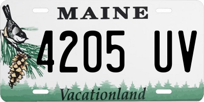 ME license plate 4205UV