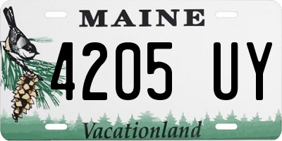 ME license plate 4205UY