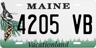 ME license plate 4205VB