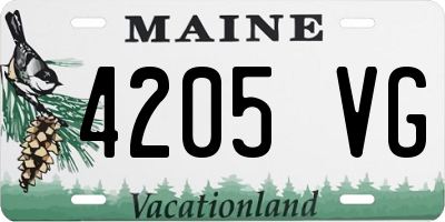 ME license plate 4205VG