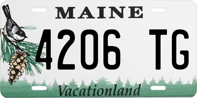 ME license plate 4206TG
