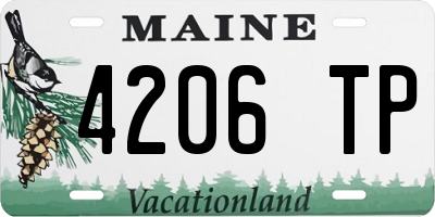 ME license plate 4206TP