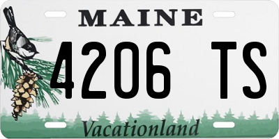 ME license plate 4206TS