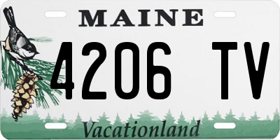 ME license plate 4206TV