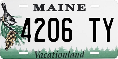ME license plate 4206TY