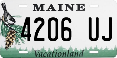 ME license plate 4206UJ