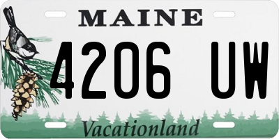 ME license plate 4206UW