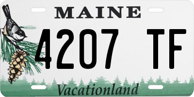ME license plate 4207TF
