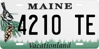 ME license plate 4210TE