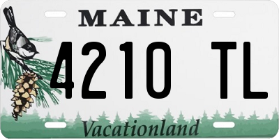 ME license plate 4210TL