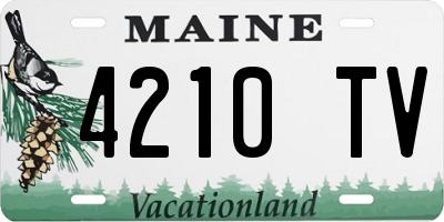 ME license plate 4210TV