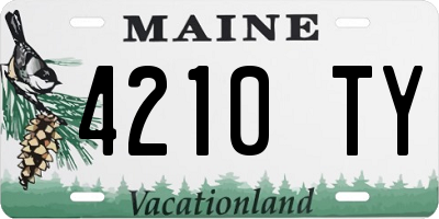 ME license plate 4210TY
