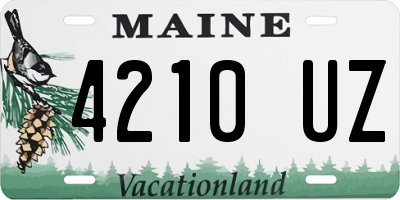 ME license plate 4210UZ