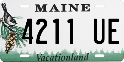 ME license plate 4211UE