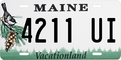 ME license plate 4211UI