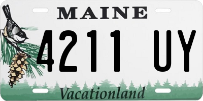 ME license plate 4211UY