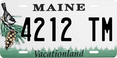 ME license plate 4212TM