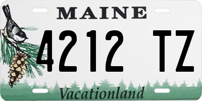 ME license plate 4212TZ