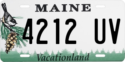 ME license plate 4212UV