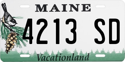 ME license plate 4213SD