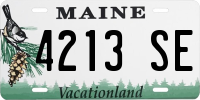 ME license plate 4213SE