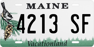 ME license plate 4213SF