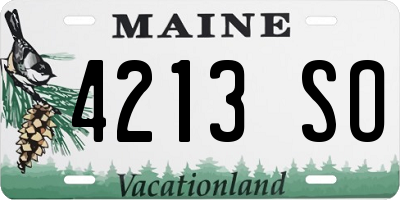 ME license plate 4213SO
