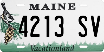 ME license plate 4213SV