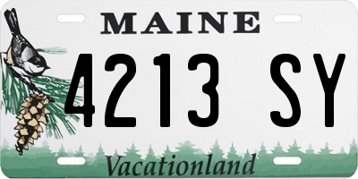 ME license plate 4213SY