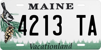 ME license plate 4213TA