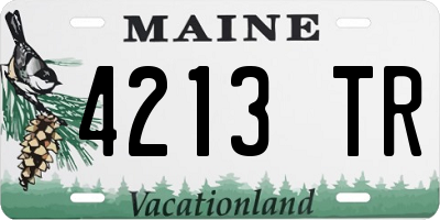 ME license plate 4213TR